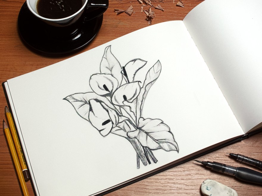 calas-dibujo2